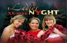 images/Band Archiv/Ladies_Nyght.jpg
